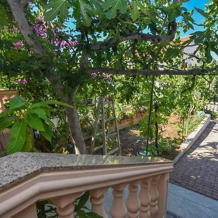 Immortelle Biograd na Moru